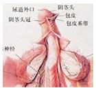 六盘水男科医院