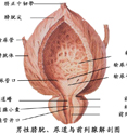 六盘水男科医院